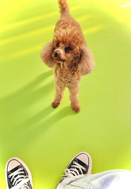 湿気・汗・広がり対策に。"クセ毛を味方にする"夏のスタイリング術