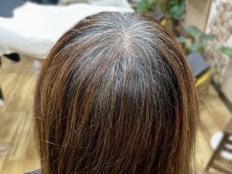 白髪ぼかしについて後悔しないために解説いたします