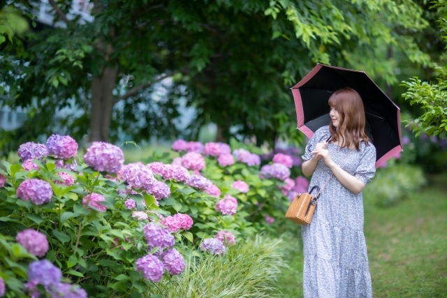 梅雨の時期のヘアスタイルを維持するには？