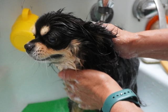 なぜシャンプーの力加減を聞かないのか？を解説します