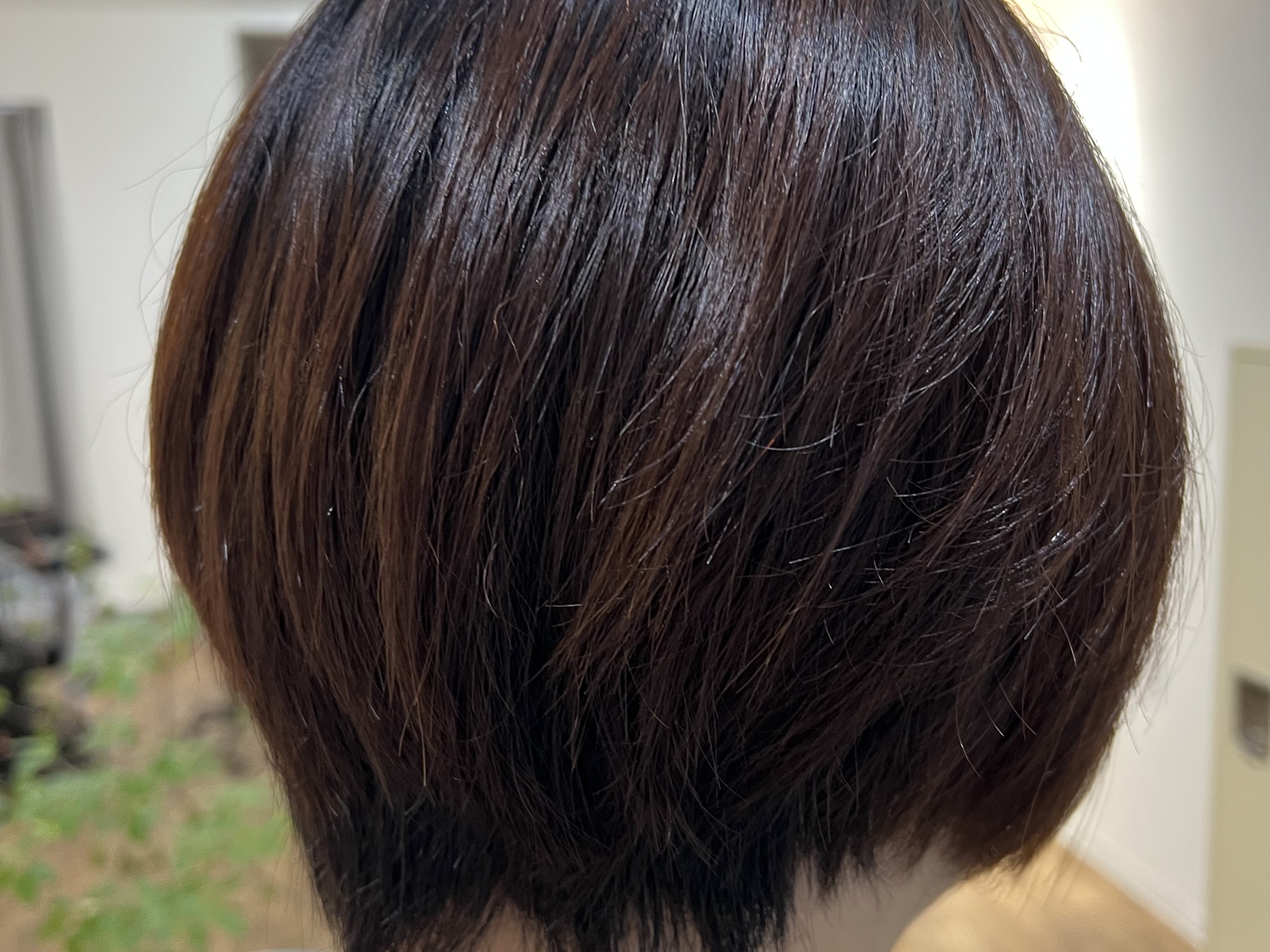 本日の施術事例