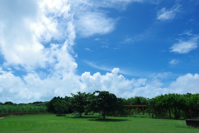 美容室での会話が苦手な人へ。Kicchi流"ちょうどいい距離感"の接客とは？