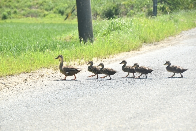 お子さま連れ歓迎！Kicchi hair designが支持される3つの理由