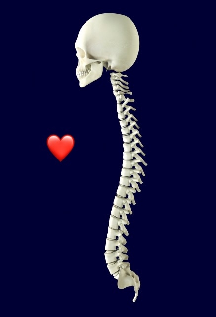 縮毛矯正なしでもまとまる！Kicchi hair designの骨格カット術