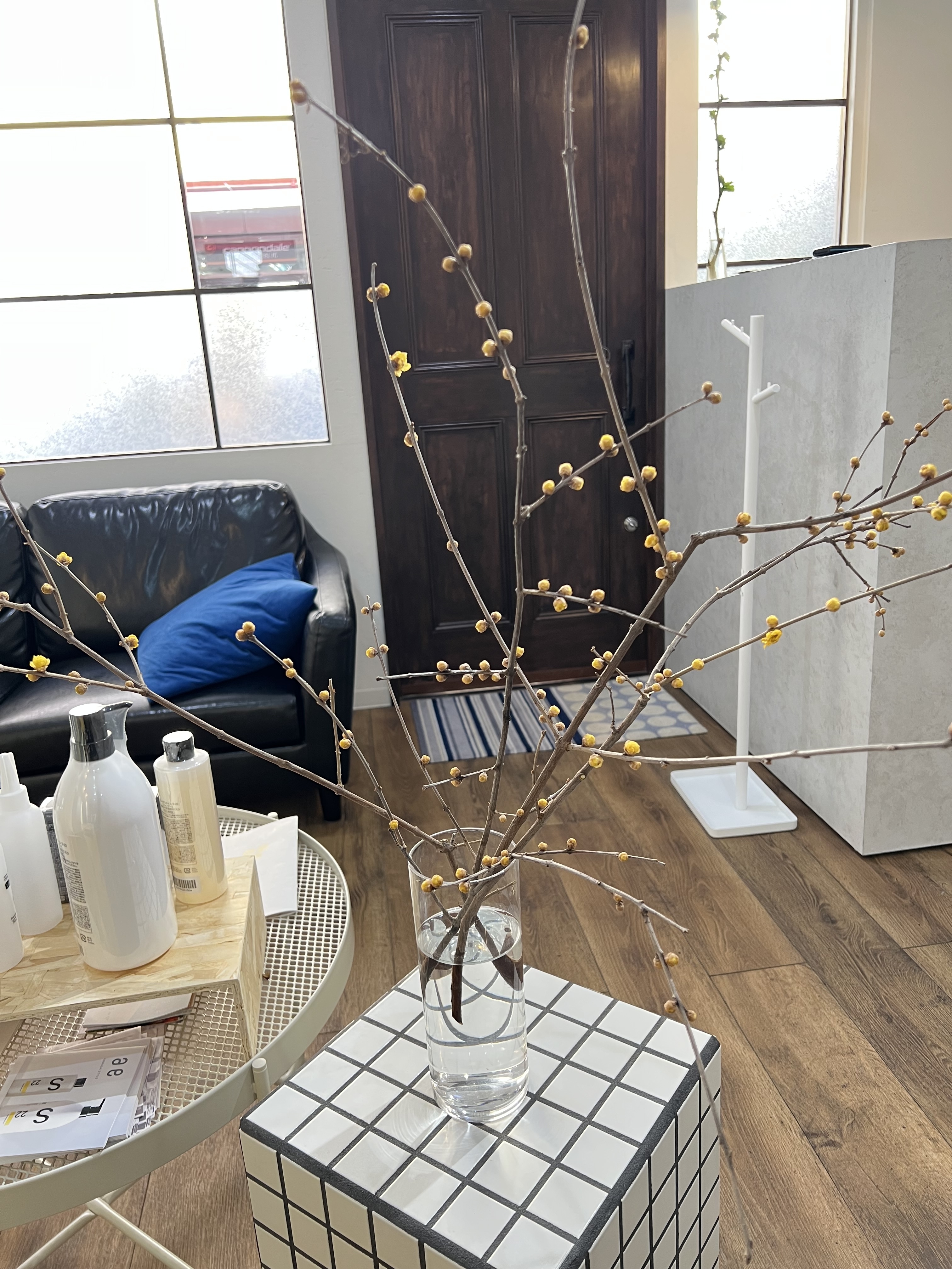 枝物との上手な付き合い