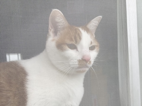 お客様のお見送りをやめました