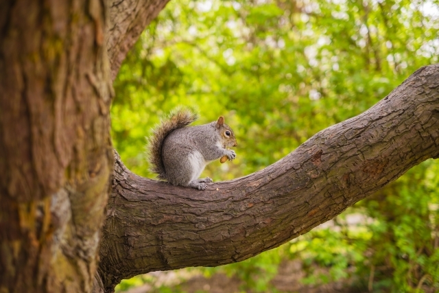 髪を切るだけじゃない。Kicchi hair designで"気持ちが整う"理由とは？